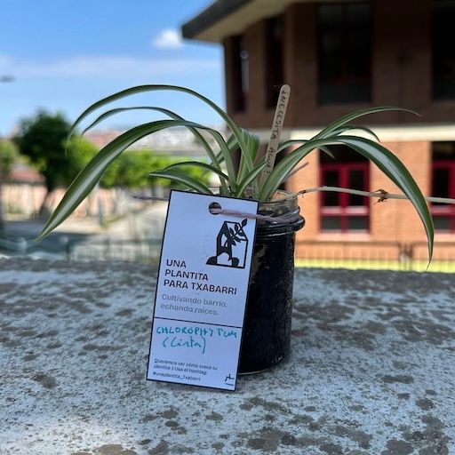 Plantita en maceta reciclada